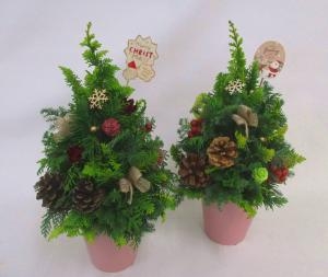 クリスマス　ツリー　アレンジメント|「鈴花園」　（神奈川県横浜市戸塚区の花屋）のブログ